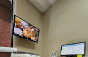 Affordable Dental at Ann & Willis