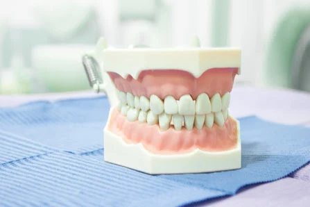 Easy Dental Care