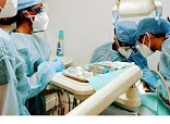 Immediate Care Dental