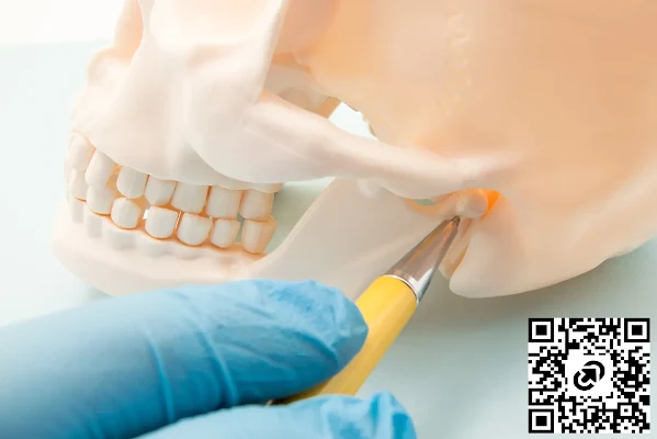 Warm Family Dentistry
